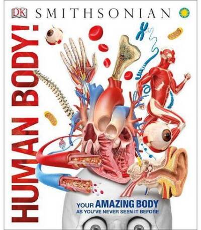 Knowledge Encyclopedia Human Body