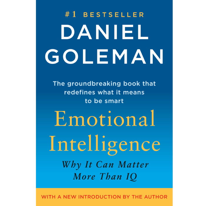 Emotional Intelligence: Why It Can Matter More Than IQ
